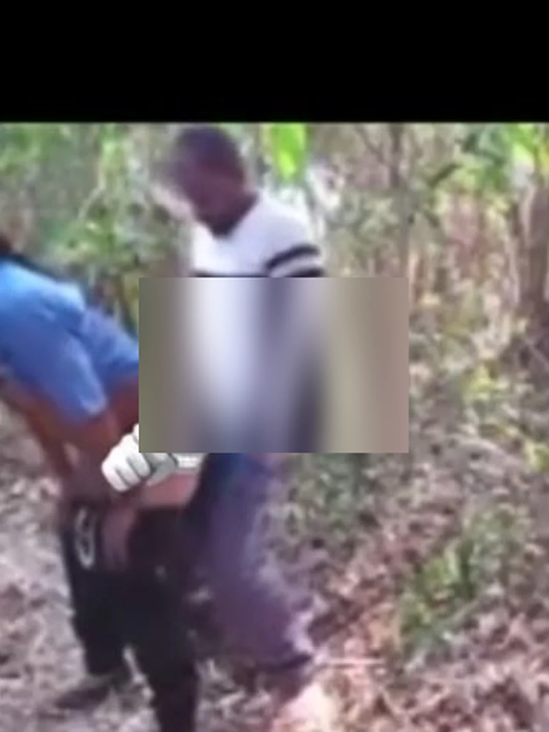 Video 12